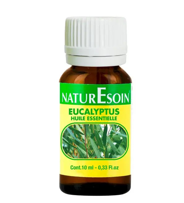 NATURESOIN زيت أساسي من الأوكالبتوس 10 مل